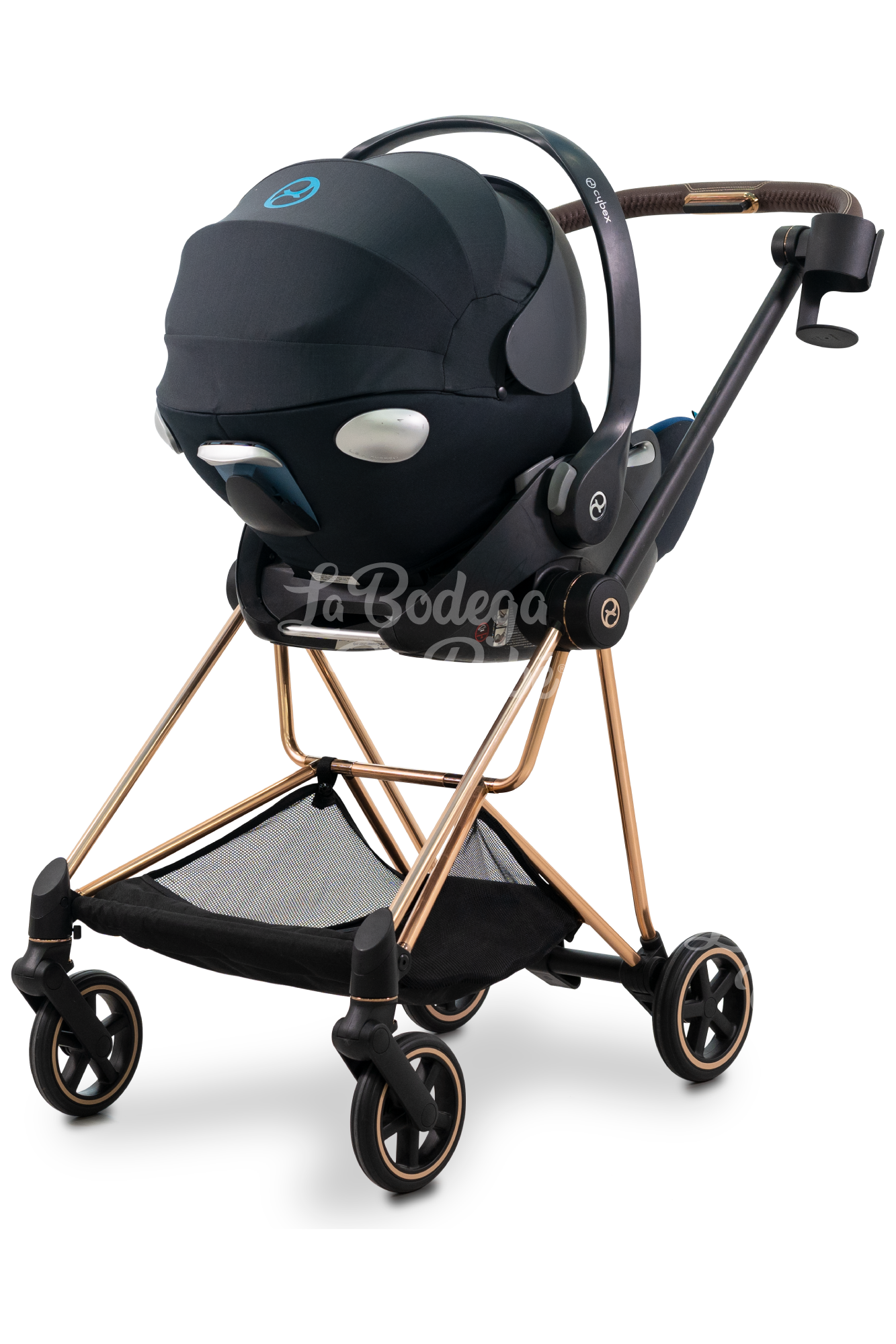 cybex en mexico Carriola Cybex MIOS3 ROSEGOLD